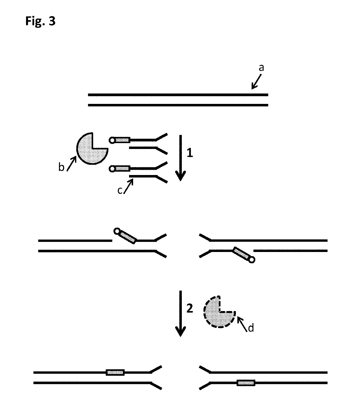 Polynucleotide modification methods