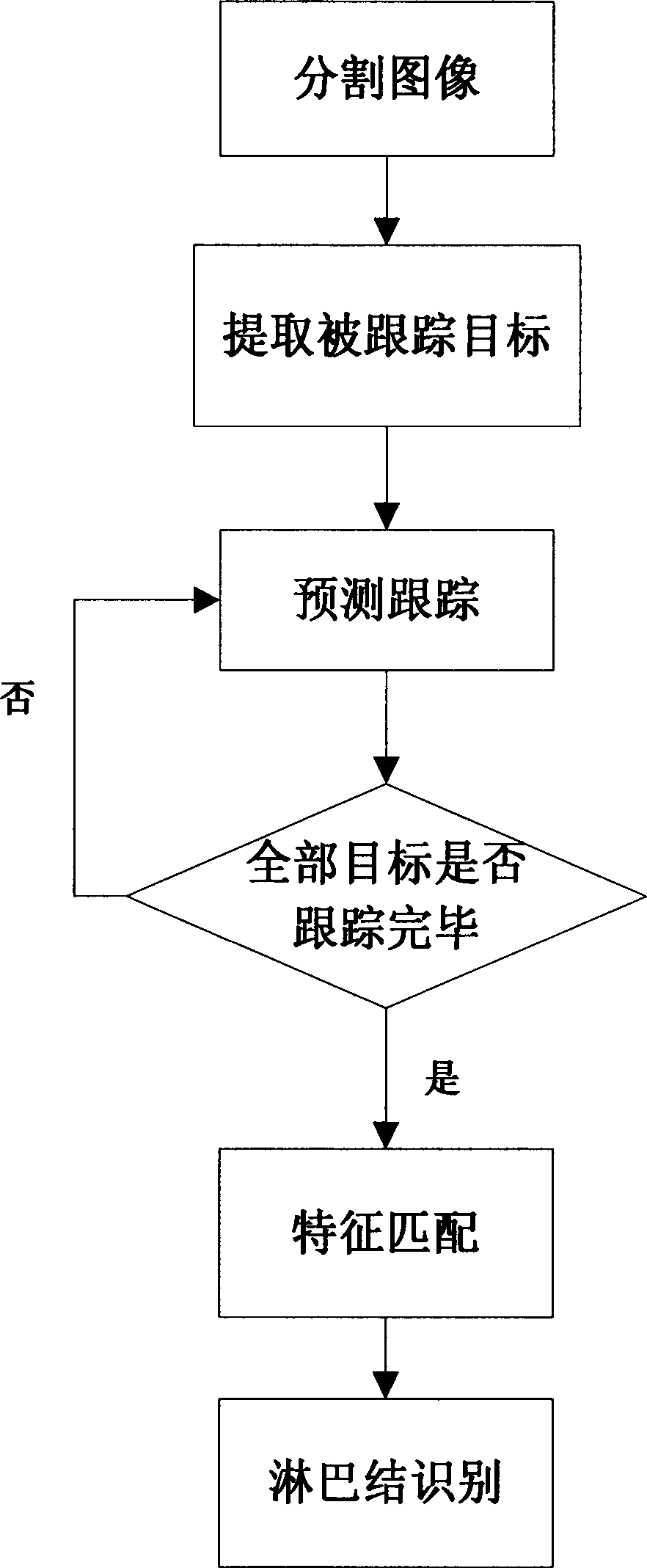 Computer aided gastric cancer diagnosis method based on target tracking