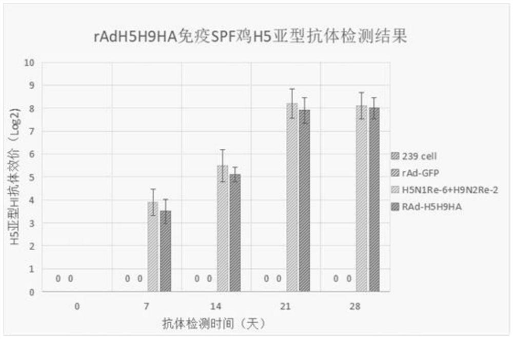 Adenovirus vector bivalent vaccine for simultaneously preventing avian influenza H5 and H9 subtypes and preparation method of adenovirus vector bivalent vaccine