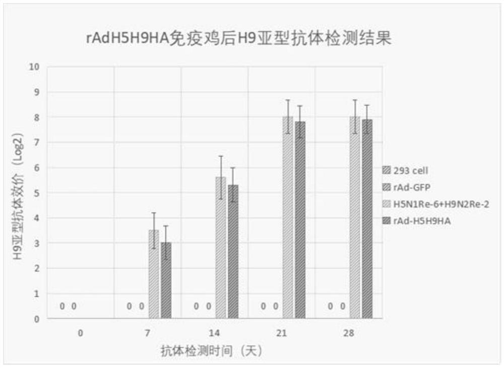 Adenovirus vector bivalent vaccine for simultaneously preventing avian influenza H5 and H9 subtypes and preparation method of adenovirus vector bivalent vaccine