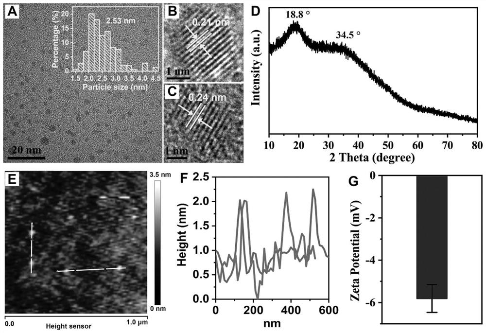 A kind of magnesium nitrogen doped carbon point and its preparation method and the application in improving plant photosynthesis