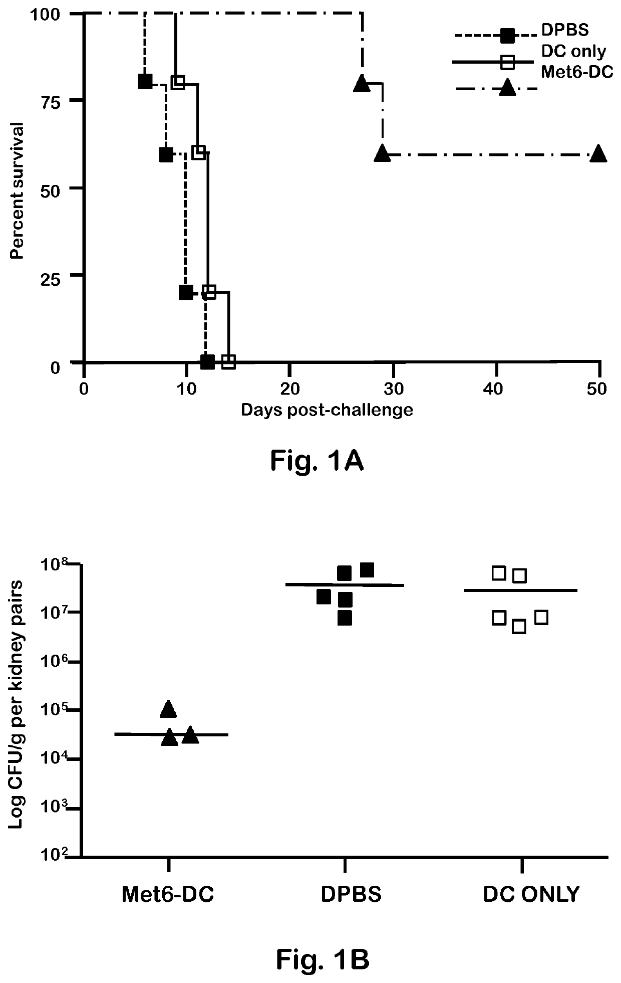 Chimeric vaccine against fungal infections