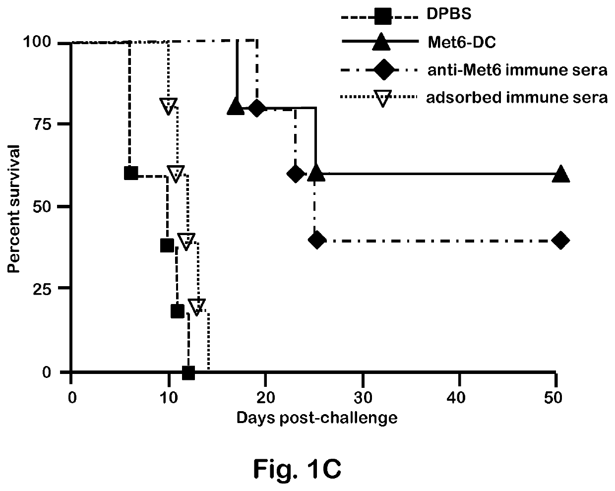 Chimeric vaccine against fungal infections