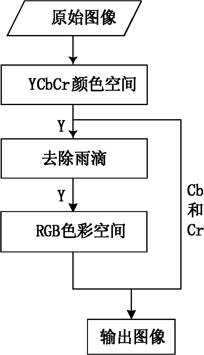 Simple-component video image rain field removing method