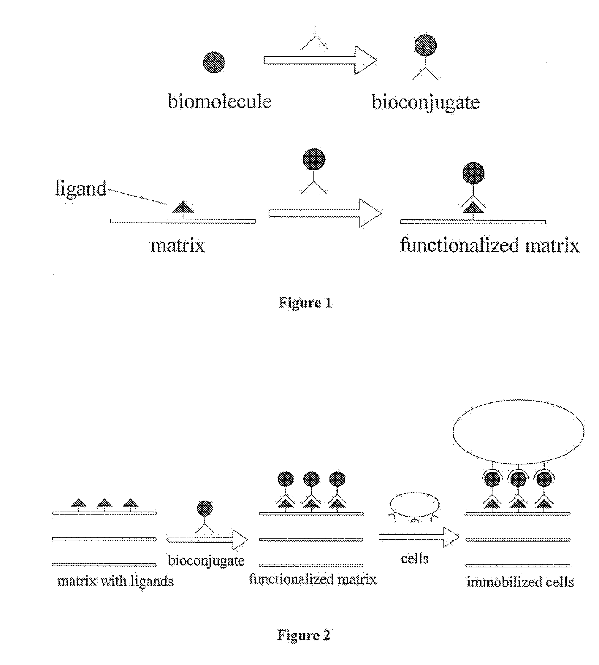 Engineered Biological Matrices