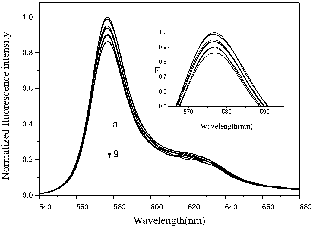 Method for detecting DNA hybridization by surface cationized R-phycoerythrin