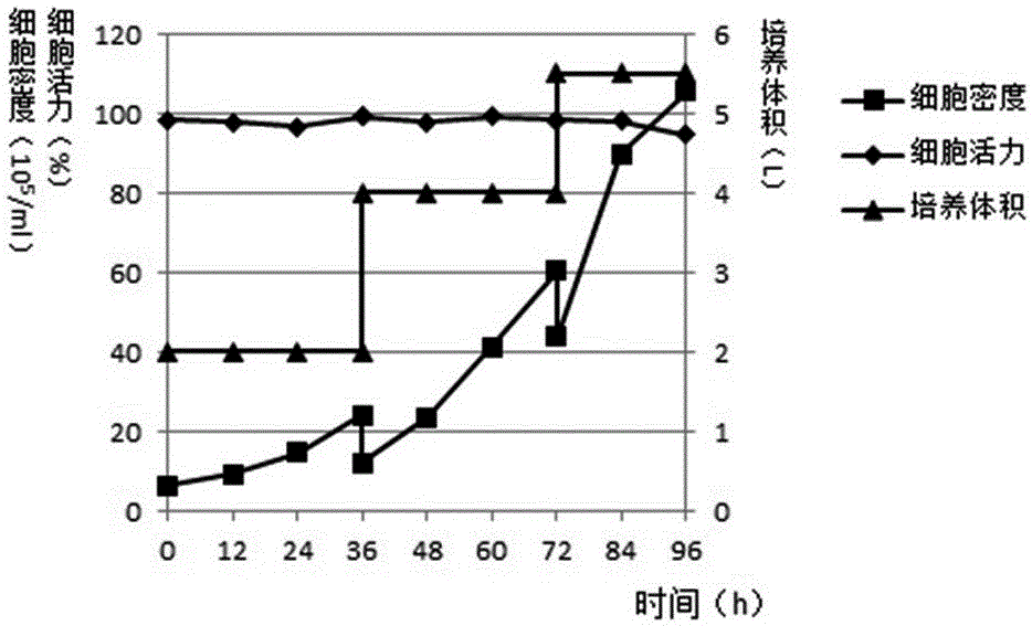 Domestication method of full suspension culture type Marc-145 cell line