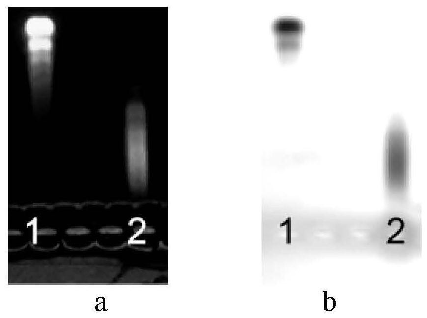 Platelet anti-human globulin experimental immune zone distribution detection method