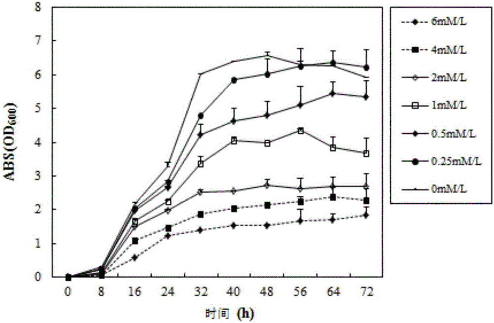 Achromobacter for heavy metal cadmium pollution treatment and application thereof