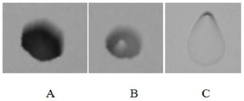 Dislocation identification method of silicon carbide crystal