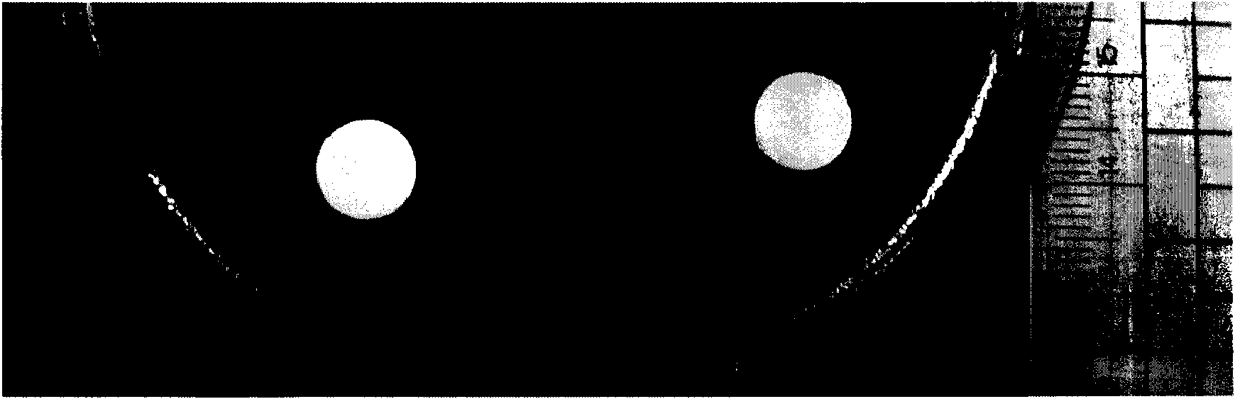 Lactobacillus salivarius M6 and antibacterial composition containing same