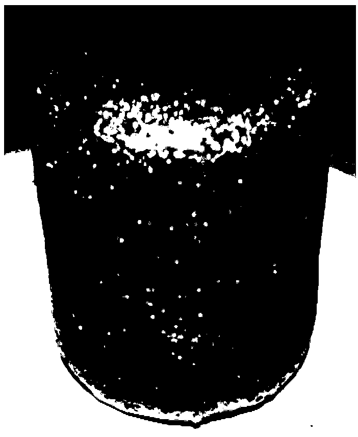 Wood liquefied substance foamed material and preparation method thereof