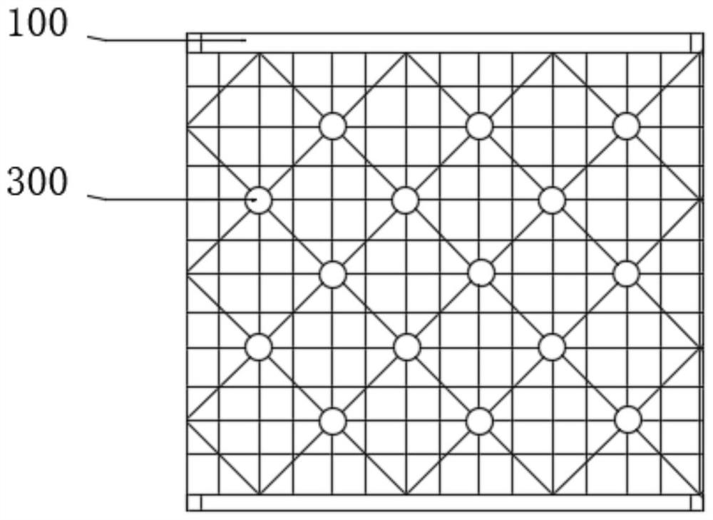 Protection device for preventing and treating slope deformation