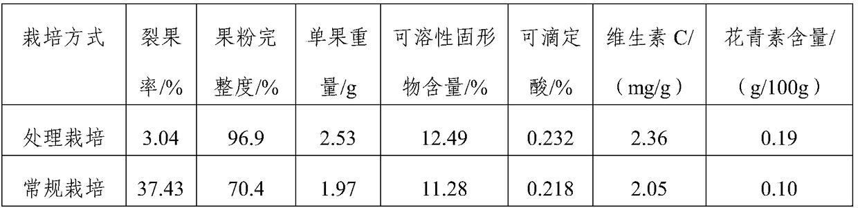 Cultivation method for improving quality of blueberry fruits in Jianghuai region