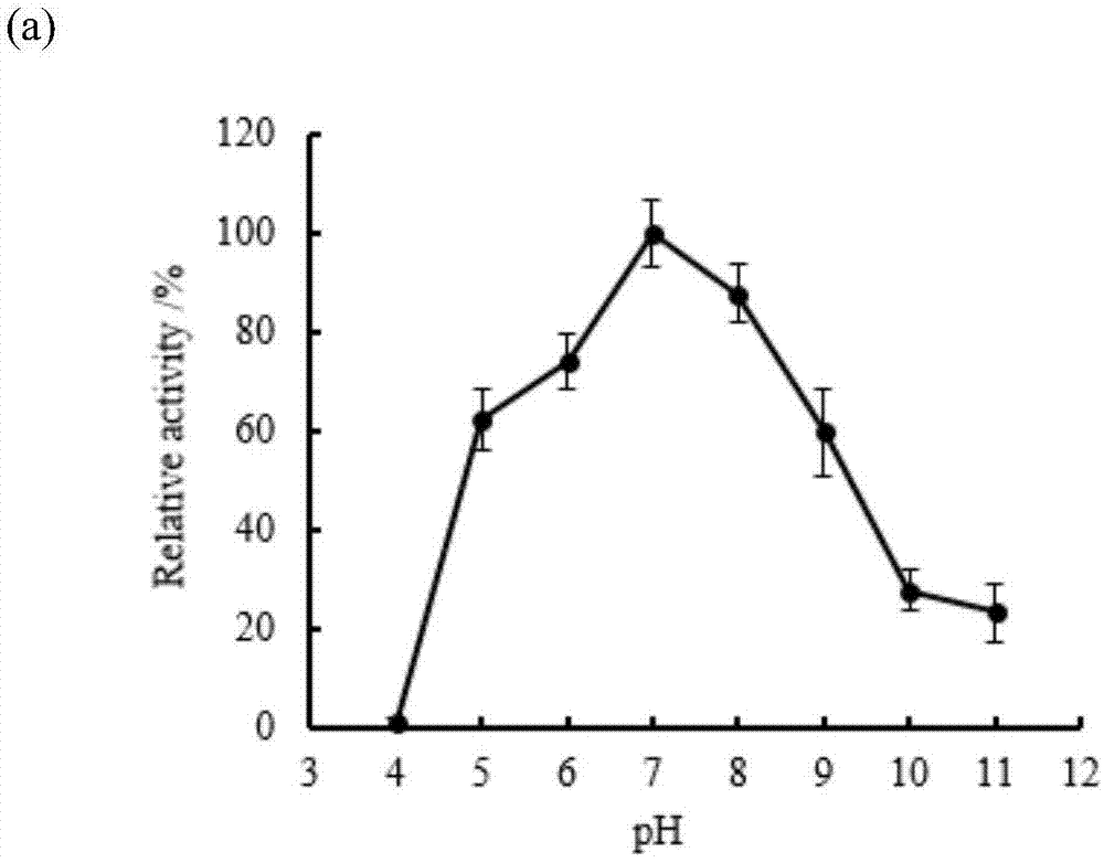 Escherichia coli engineering bacteria for expressing pseudomonas putida creatininase and application thereof