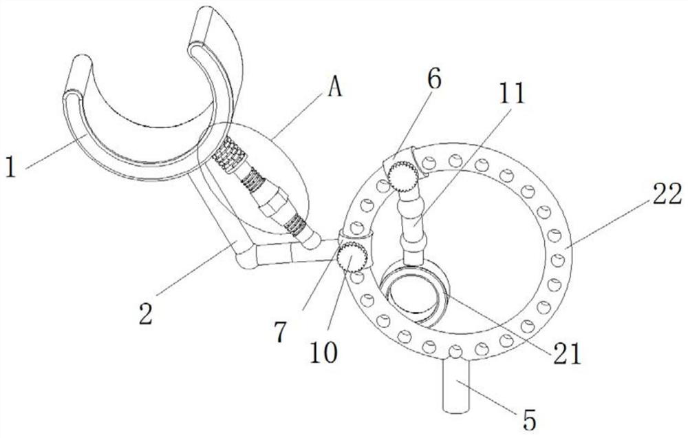 Auxiliary expansion device convenient to fix and adjust for gynecological examination