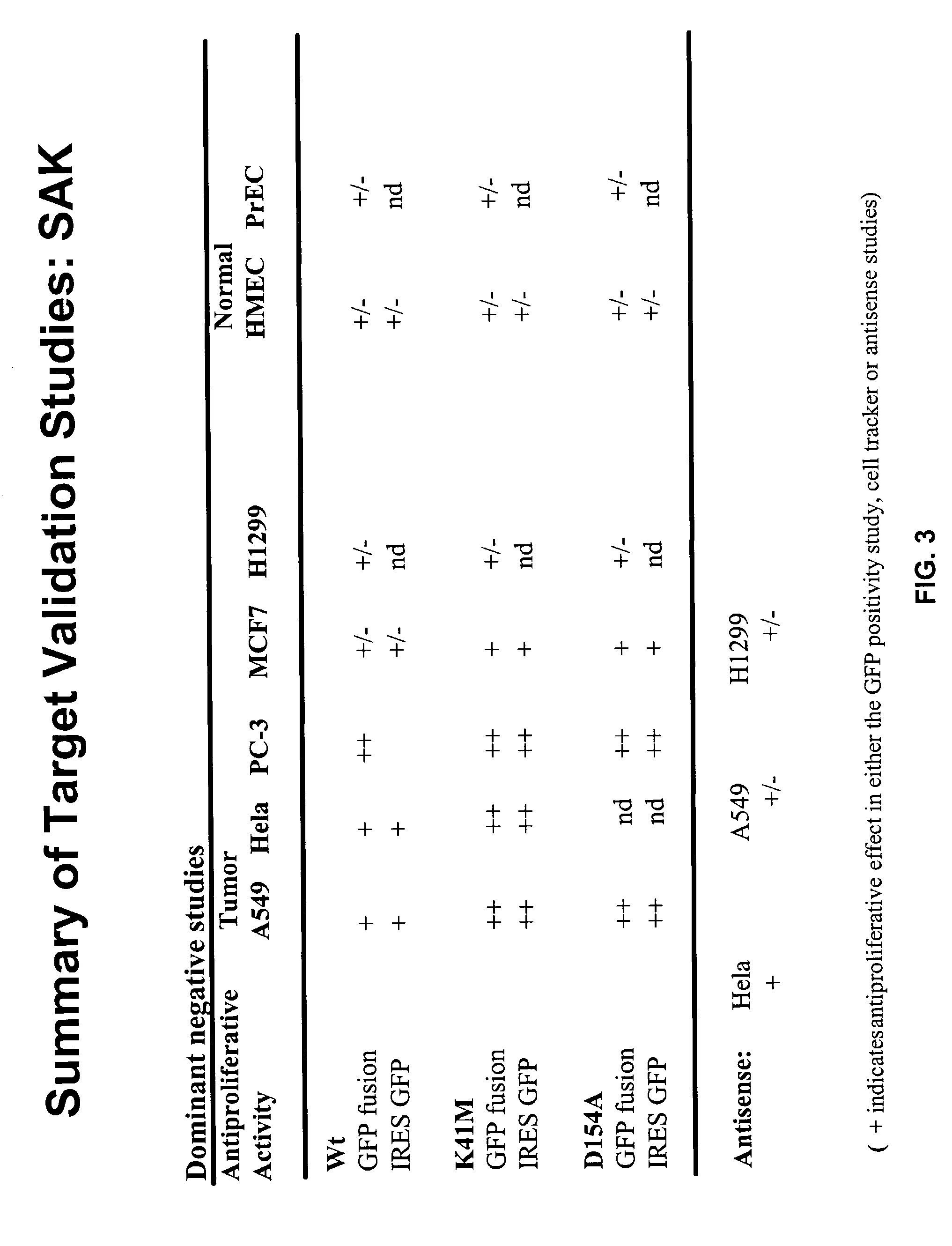 SAK: modulation of cellular proliferation for treatment of cancer