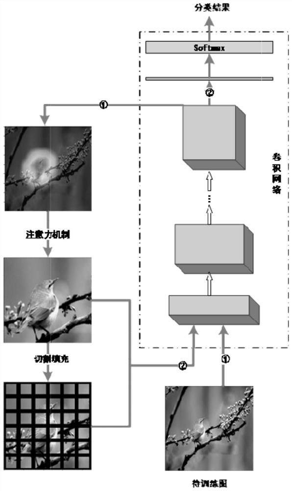 Fine-grained image classification method and system based on attention mechanism and cut-and-fill