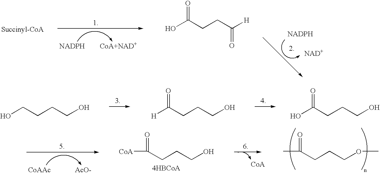 Medical devices containing oriented films of poly-4-hydroxybutyrate and copolymers