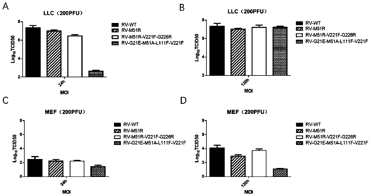 Oncolytic virus vaccine and adoptive immune cell combination therapy