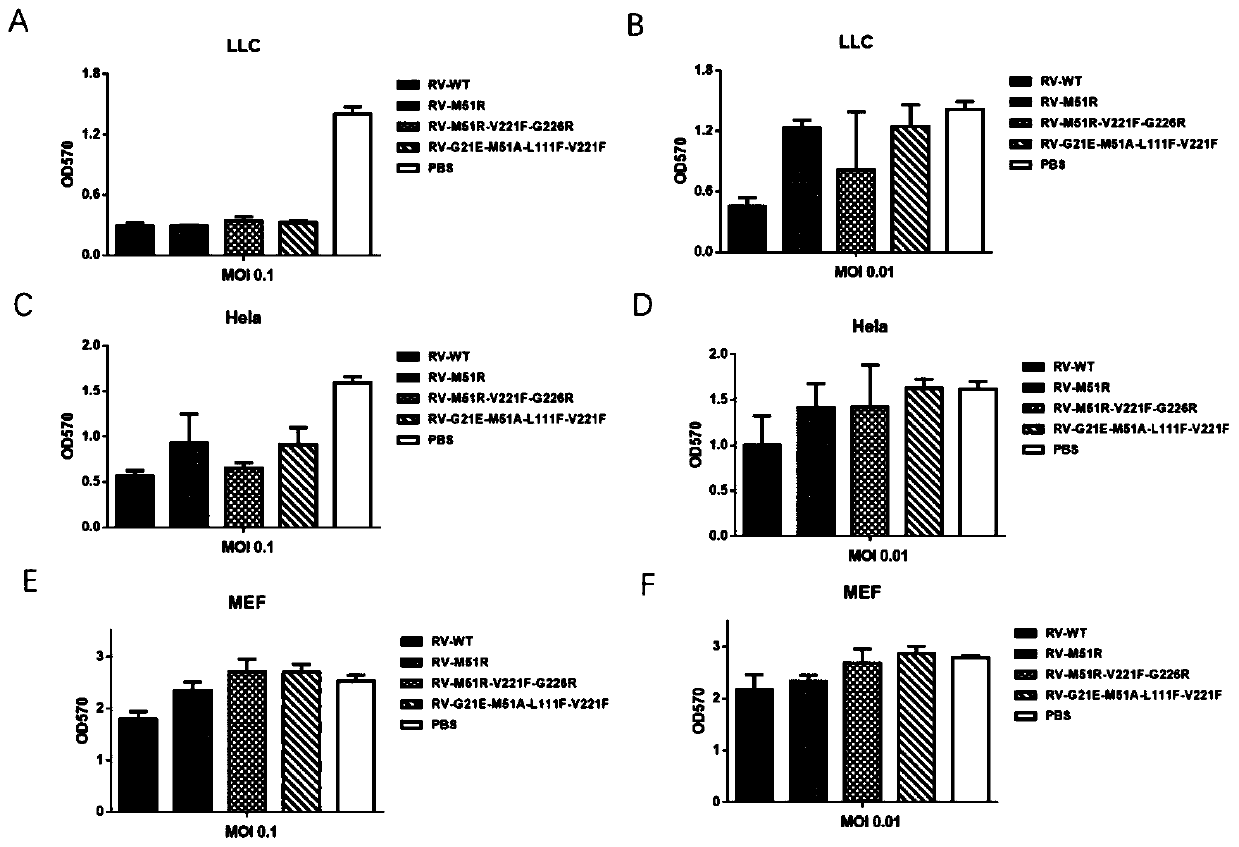 Oncolytic virus vaccine and adoptive immune cell combination therapy