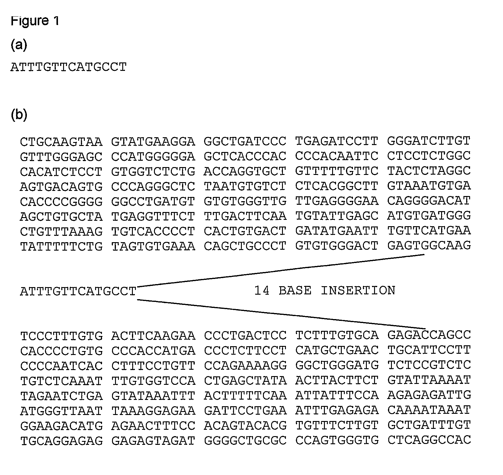 Drug response markers