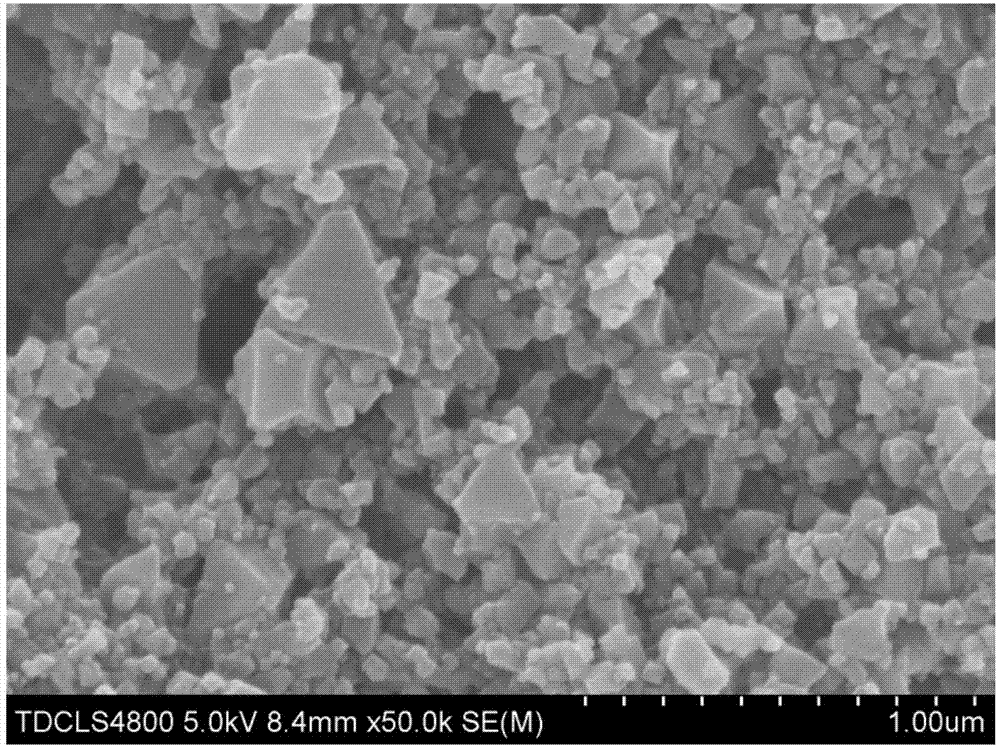 Preparation method for preparing polymer skeleton with surface coated with HKUST-1 through 3D printing, and application of polymer skeleton