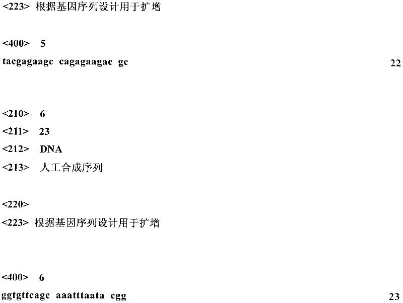 A high-yielding glucosamine engineering bacterium and its construction method through homologous recombination knockout nage