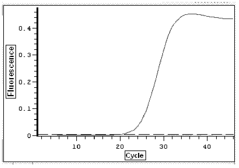 Method for cloning reference gene of kentucky bluegrass aquaporin