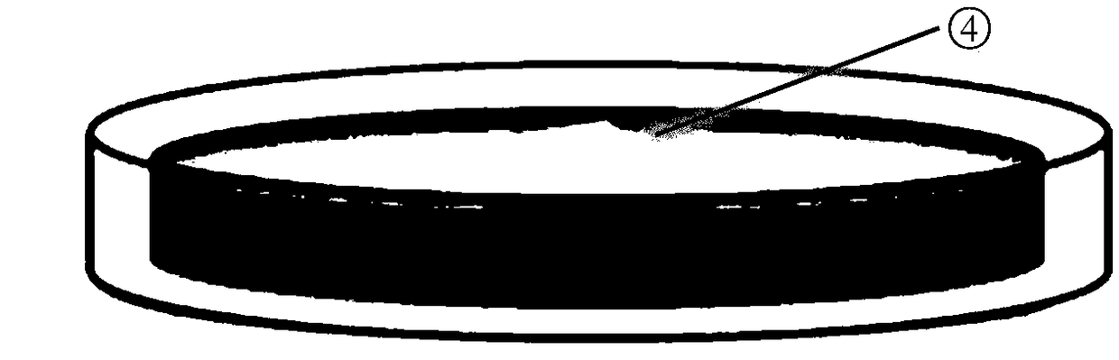 Atomic-thickness graphene/boron nitride composite heterogeneous film transferring method