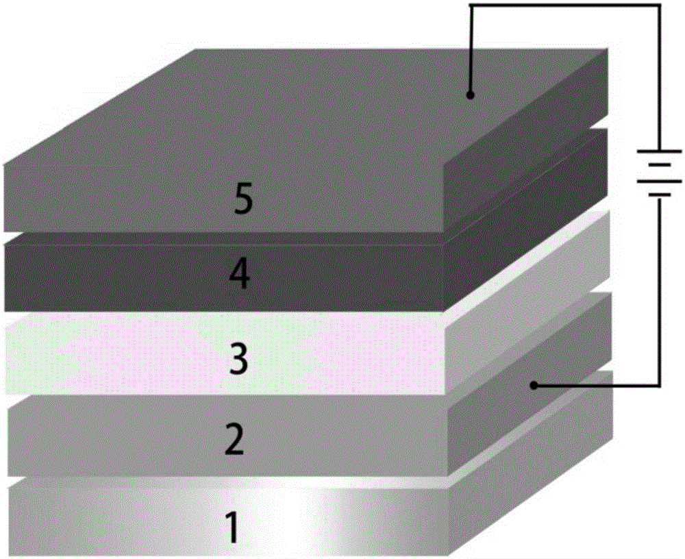 Photomultiplier organic light detector with spectral selectivity and preparation method of photomultiplier organic light detector