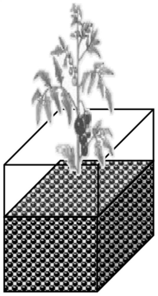 Ceramsite soilless culture substrate as well as preparation method and application thereof