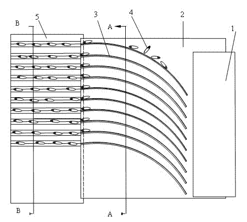 Arc guide plate super rice oriented sowing device