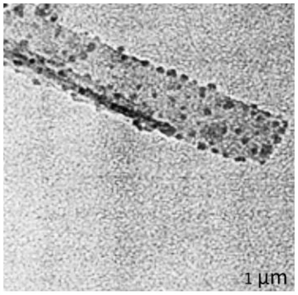 Microcellular foamed high-strength anti-aging ppa/petg composite plastic manhole cover and preparation method thereof