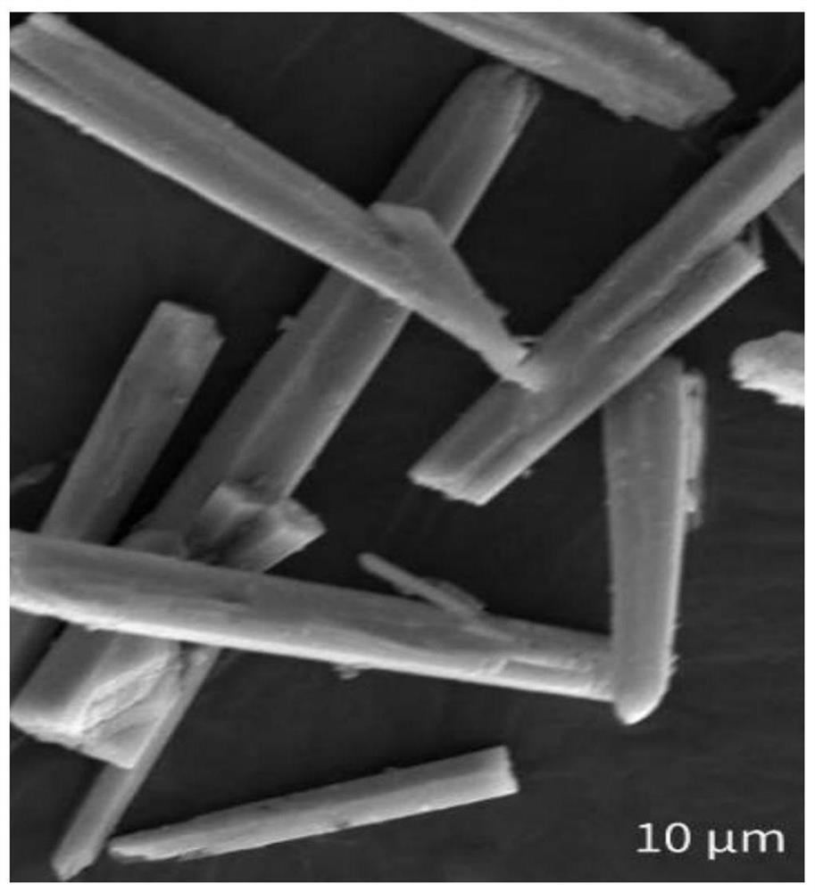 Microcellular foamed high-strength anti-aging ppa/petg composite plastic manhole cover and preparation method thereof