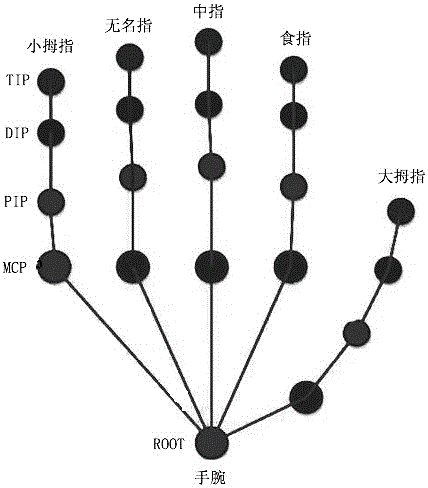 Hand posture estimation method based on depth information and calibration method