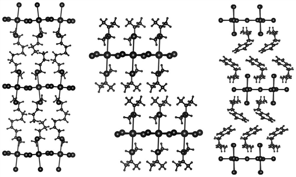 Perovskite single crystal and preparation method and application thereof