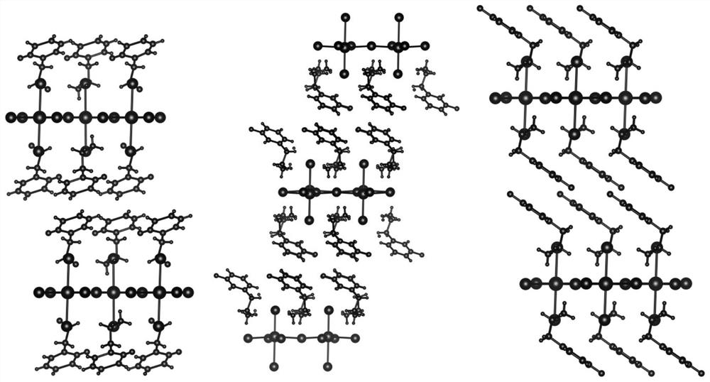 Perovskite single crystal and preparation method and application thereof