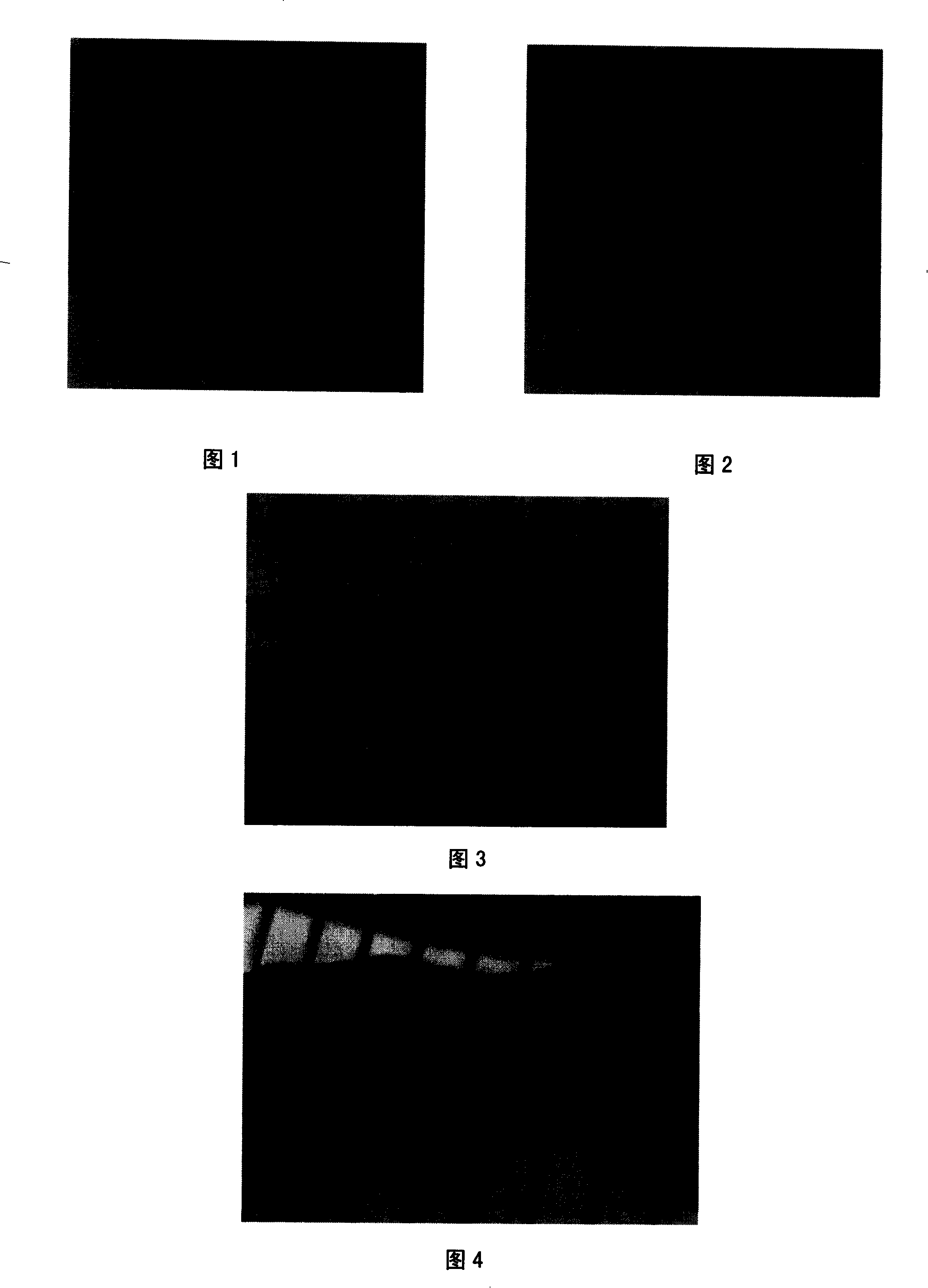 Farrow skin prosoma organization for renovating skin wound, preparing method and use method thereof