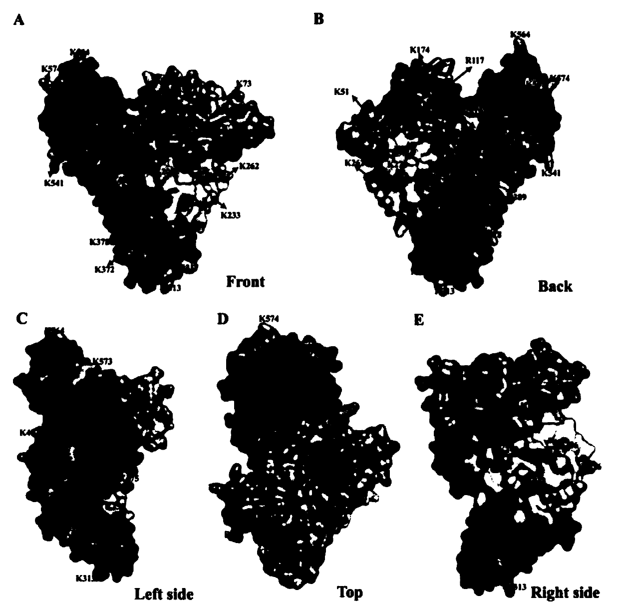 Method for qualitative and quantitative analysis of non-enzymatic glycosylated plasma albumin