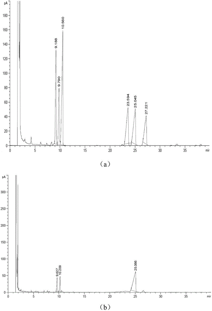 High-yield preparation method for active polysaccharides of wheat bran