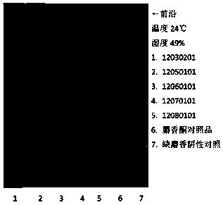 Quality detection method for concentrated pill for promoting coronary circulation