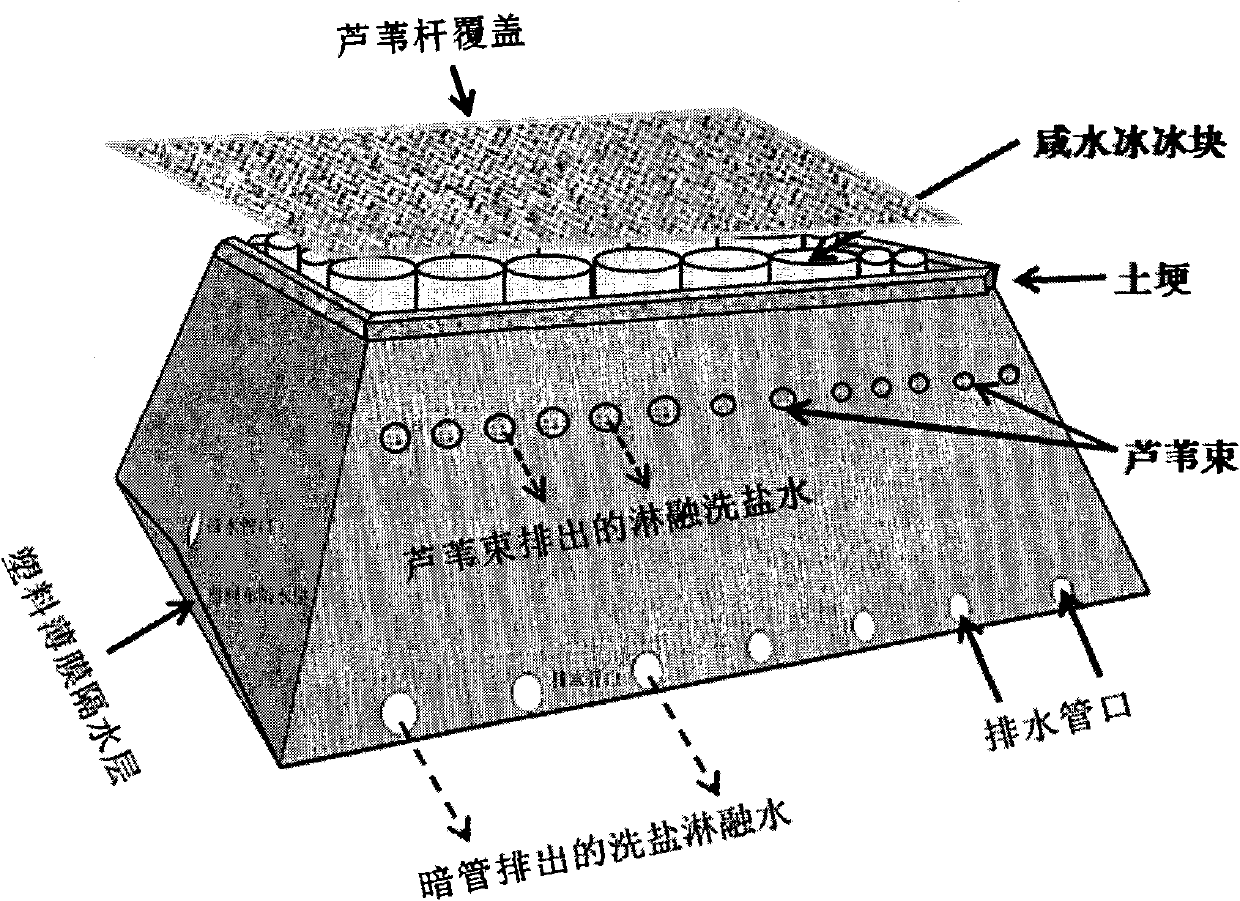 Method for ameliorating saline and alkaline land