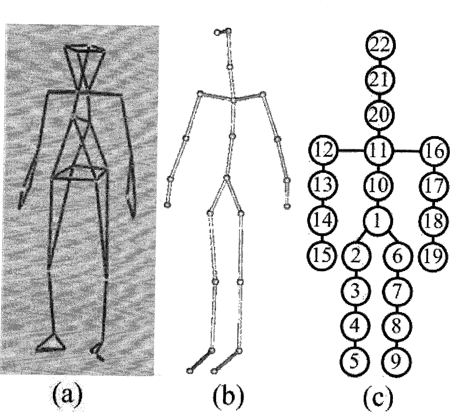 Human body animation process directly driven by movement capturing data based on semantic model