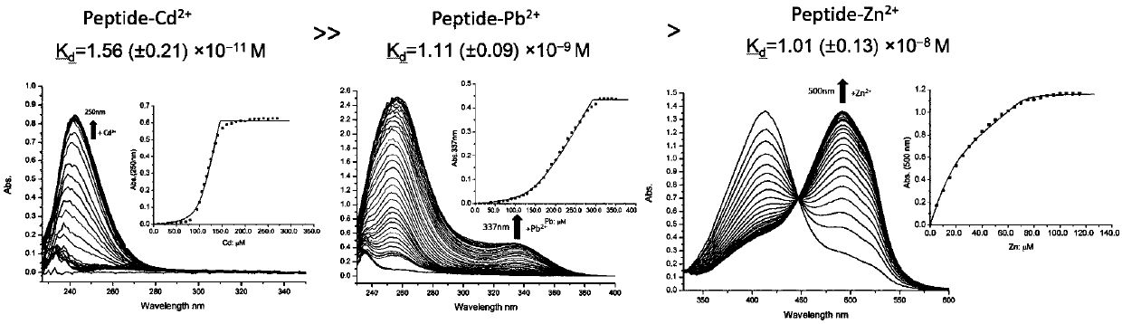 Environment sensitive gel crosslinked with metalloprotein, and applications thereof