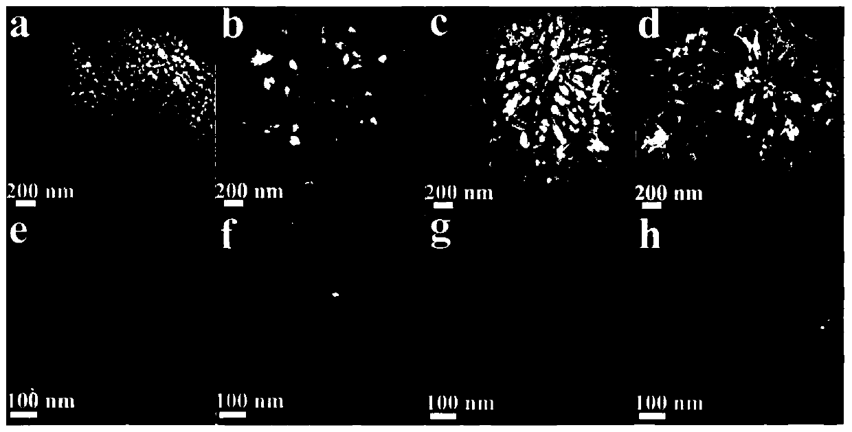 Production method and application of iron-nitrogen co-doped carbon catalyst used for electrocatalytic reduction of CO2