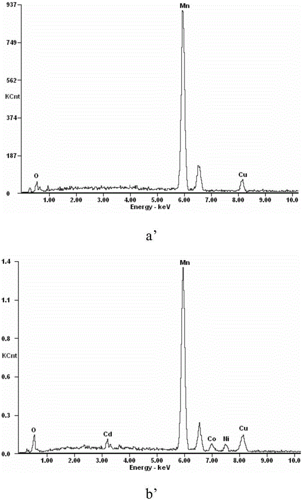 Method for removing copper, cadmium, nickel and cobalt out of zinc sulfate solution through one step