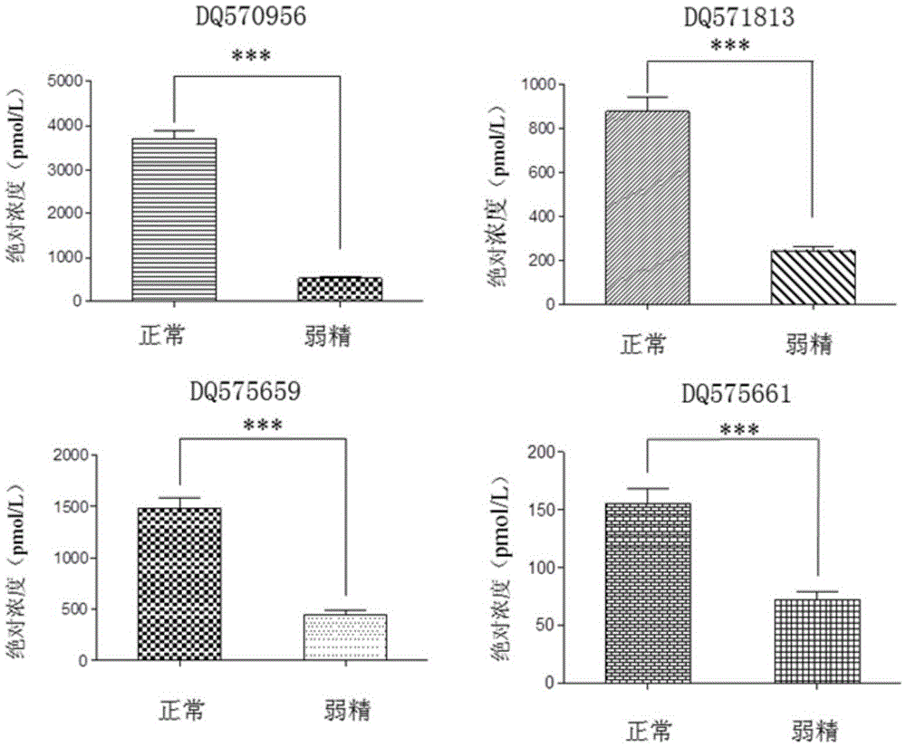 Seminal plasma piRNA markers reflecting male sperm activity or combination and application thereof