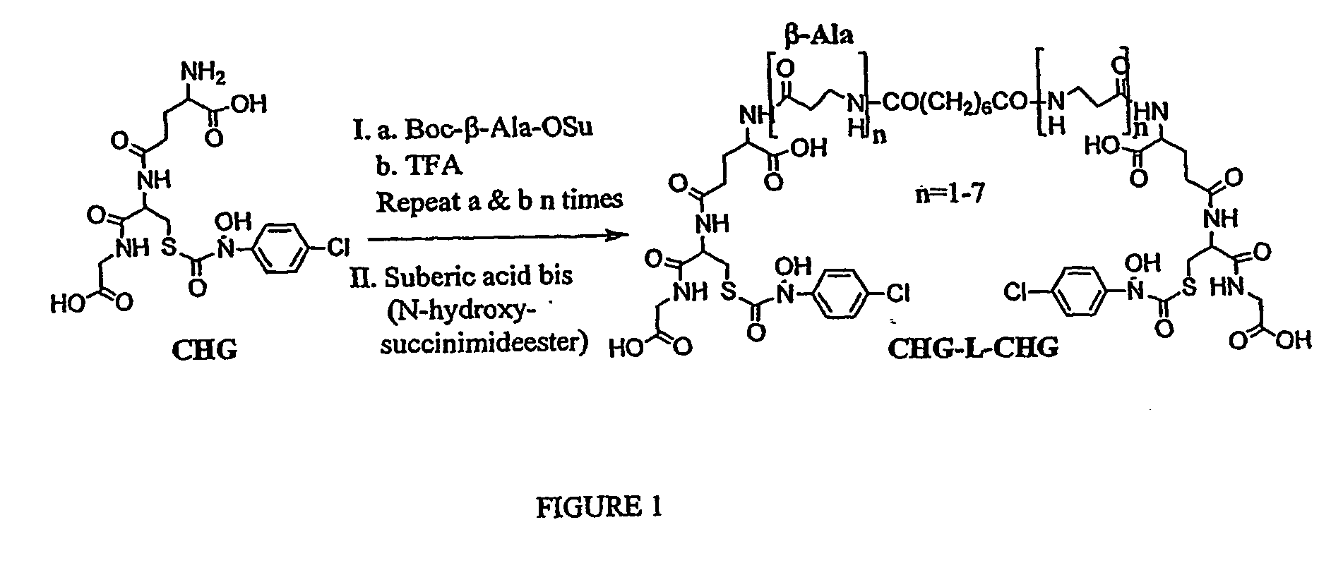 Inactivators and bivalent inhibitors of glyoxalase i and methods inhibiting tumor growth