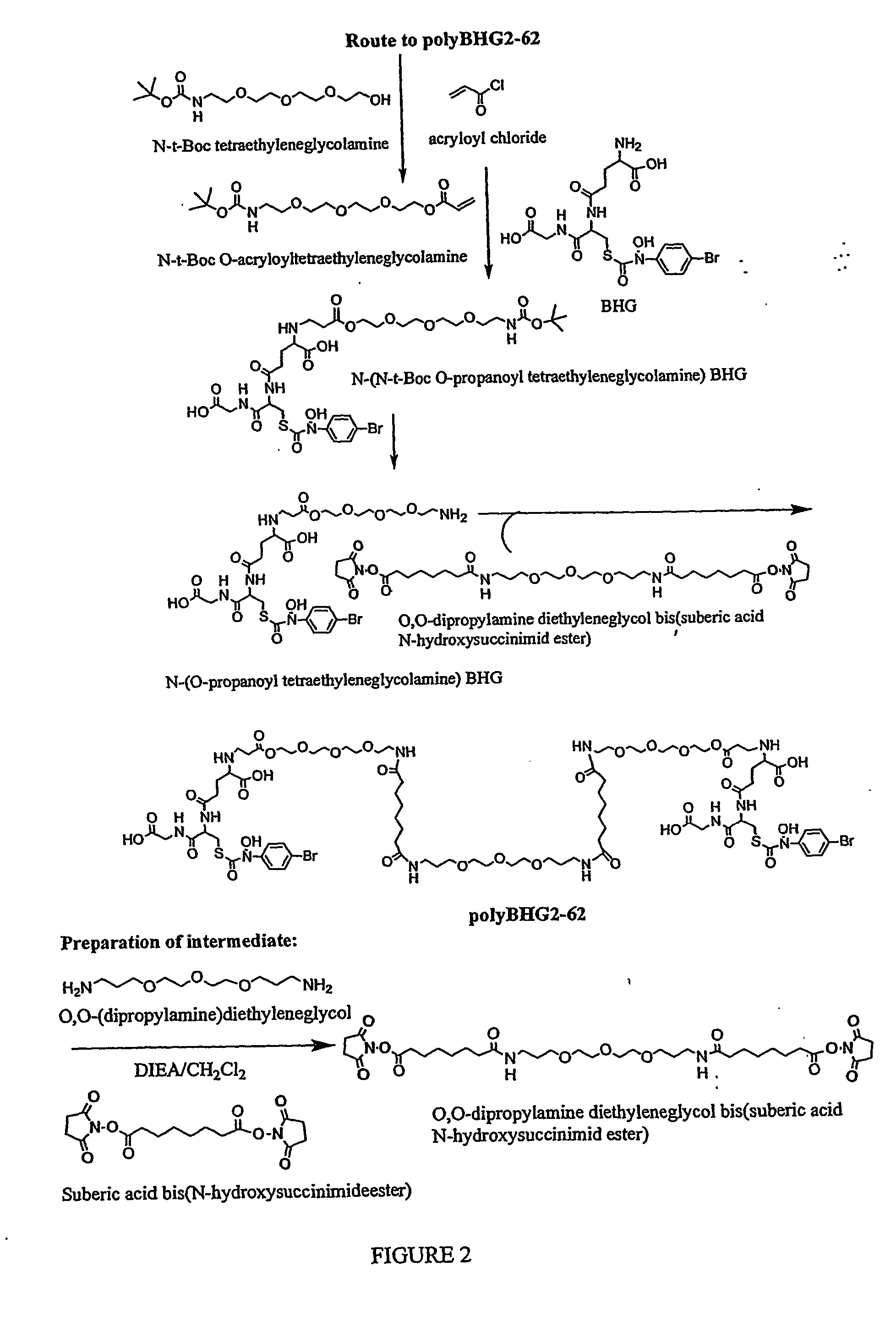 Inactivators and bivalent inhibitors of glyoxalase i and methods inhibiting tumor growth